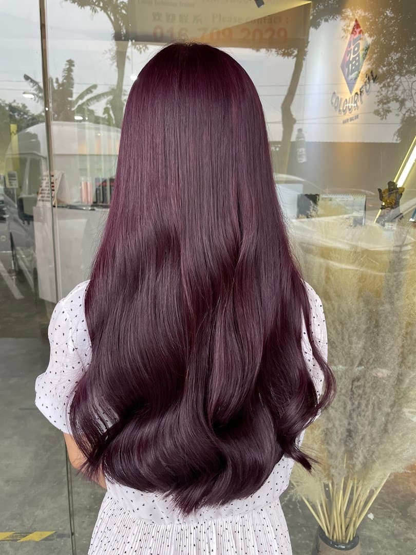 Colourful Hair Salon 3