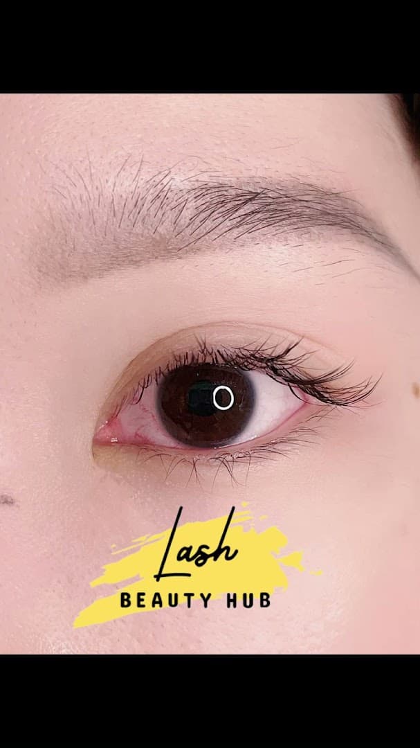 Lash n Beauty Hub 2