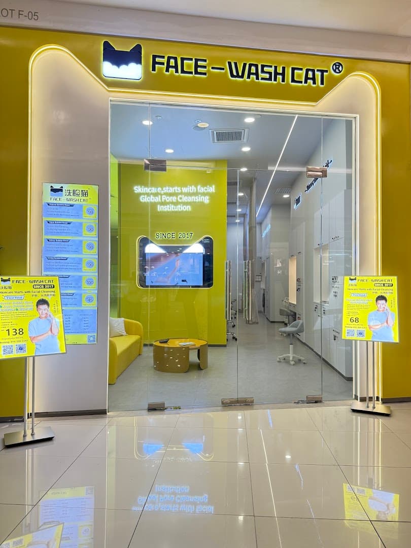 Face Wash Cat Setapak Central 2